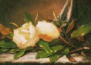 Giant Magnolias Martin Johnson Heade